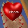 blancaguzman2173
