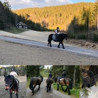 equi_horsegirs