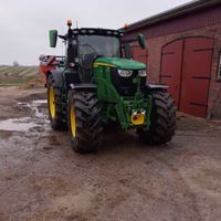 grün und gelb ist der Hirsch von einfach Bauer