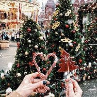 x.christmascountdownelf