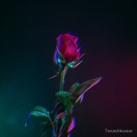 meaningss.of.names