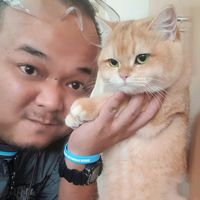 aui.rangsit.signature