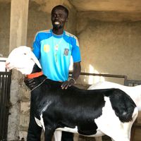 mouhamethlaminembaye