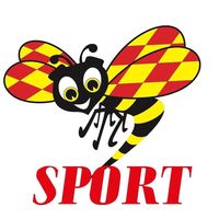 originalljud - expressensport