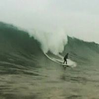 sonido original - Faenador