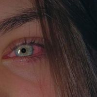 o_.never._o