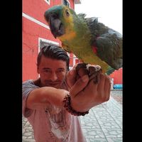 gil.tutuzinho