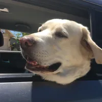 original sound - itzlaylaboo