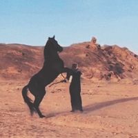 الصوت الأصلي