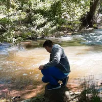 original sound - ehpszc