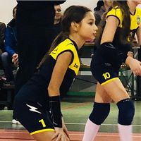 volleyball.playerr