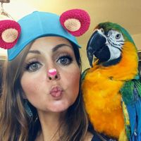 macawmomma4