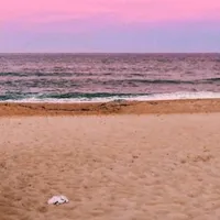 original sound - summeerhypehouse_