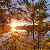 alkuperäinen ääni