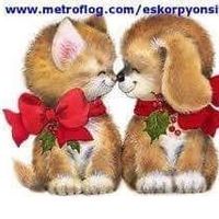 mary.2923