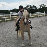 Inside a horses mind