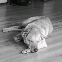 sam_02034
