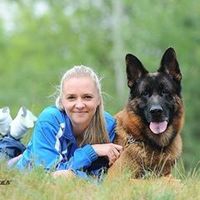 nem_ovcharka_vomfrosten