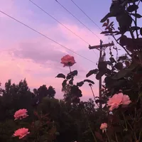 original sound - _sweetxvibez_