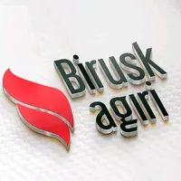 Onur Çetinsoy Payiza Min