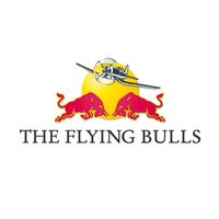 theflyingbulls