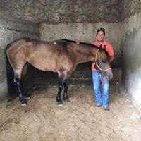 alexalamilla942