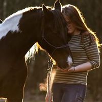 dianaaudrey_horsemanship
