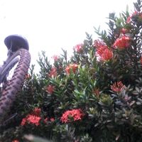 lidiavidal7475