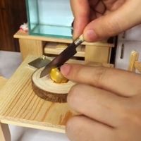 minishow4