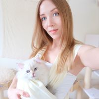kittycatsoulfood