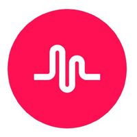 teamxmusically_