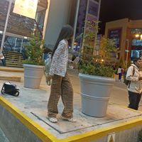 jas_pandita