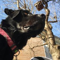 _lena_stella_bestbuddy_