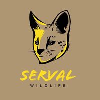servalwildlife
