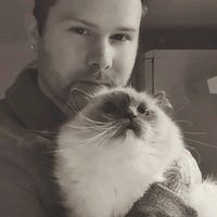 norwegian_catman