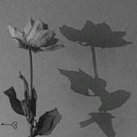 _s..p..u..c..h..e_