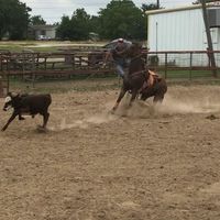 cavalrynorris