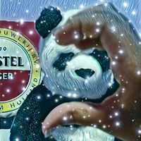 pandaalokkkkk