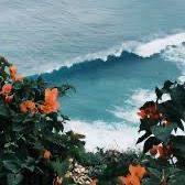 aubreygrace_volleyball