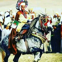 original sound - user17930655498212