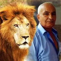 original sound - joseleaodonorte