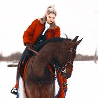 release_equestrian