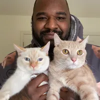 original sound - catnapceo