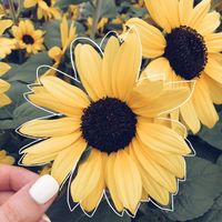 .summer_vibes_