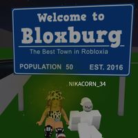 a..kid..does..roblox