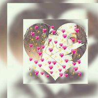 danniellyoliveira2