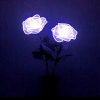 Let her go passenger slowed