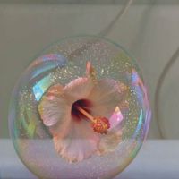 bubblblossom