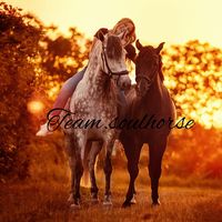 team.soulhorse
