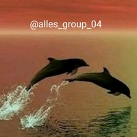alles_group_04
